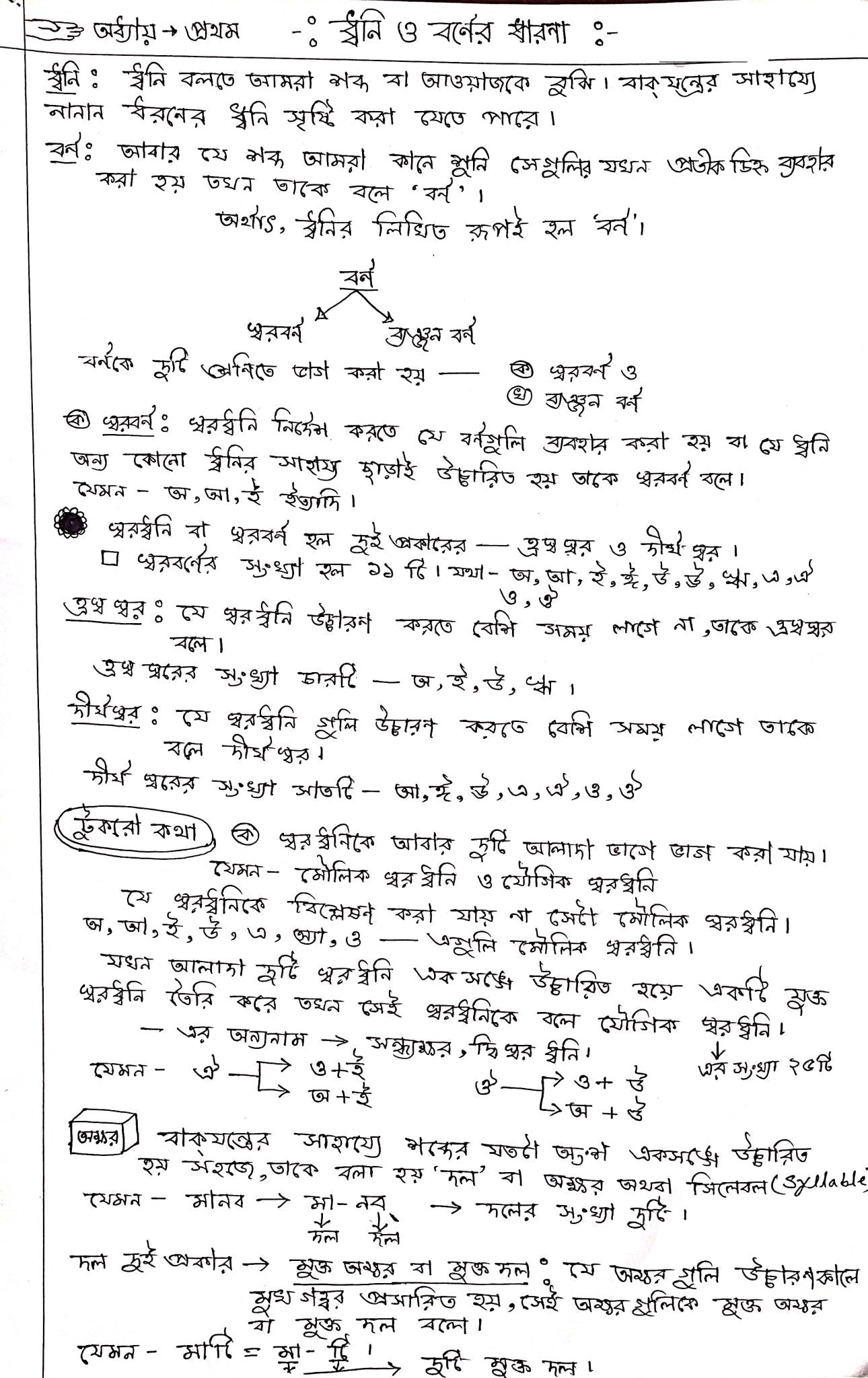 WEST BENGAL PRIMARY TET( In Service) - ALL 5 Subjects-HARD COPY -4 Handwritten Notes( Updated Syllabus) - Rankersnotes